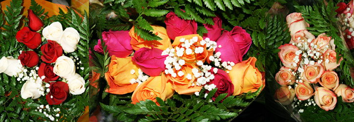 Brampton Roses Brampton Roses