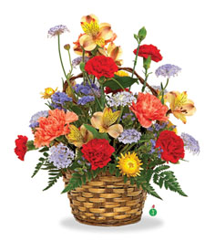 Basket Blooms